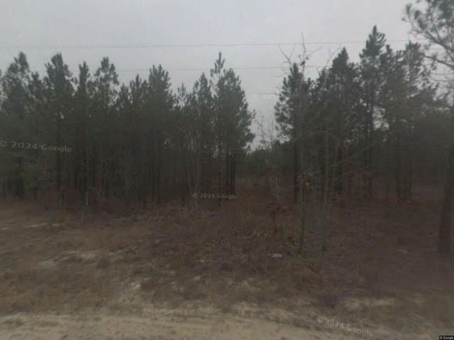 Photo of 2344 Camp Rd, Bethune, SC