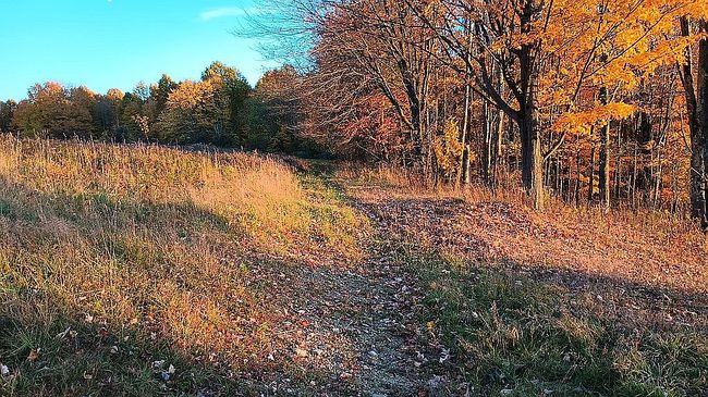 Photo of 20592 Grange Center Rd, Saegertown, PA