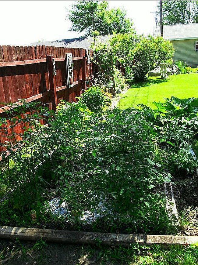 Image of 3814 Butternut Ln
