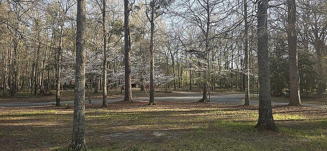 Image of 259 Fox Hollow Bnd