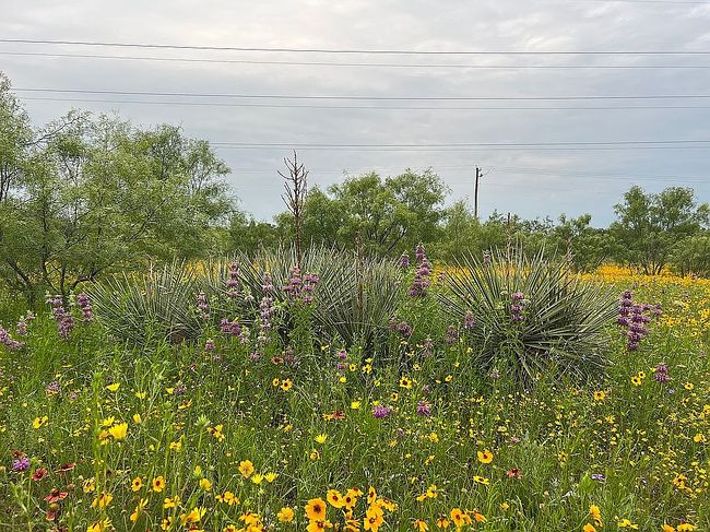 Photo of 6901 County Road 136, Brownwood, TX
