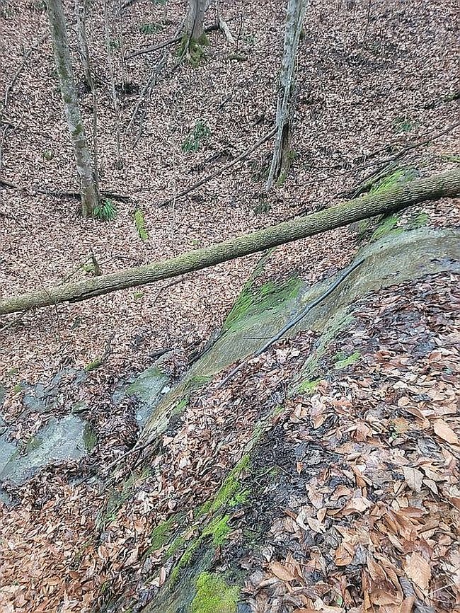 Image of 558 Beeline Rd