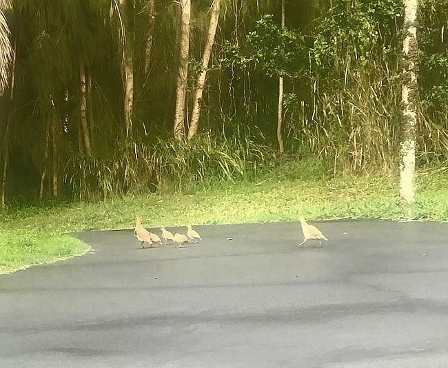 Additional photo 1 of property located at 55-3326 Puu Mamo Dr