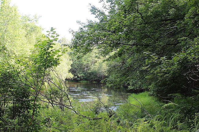 Photo of 1-2 Tanzman Rd, Parksville, NY