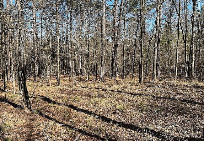 Photo of 246 Highway 463, Madison, MS
