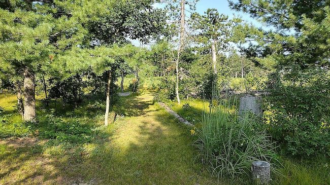 Image of 10293 Pigeon Dr