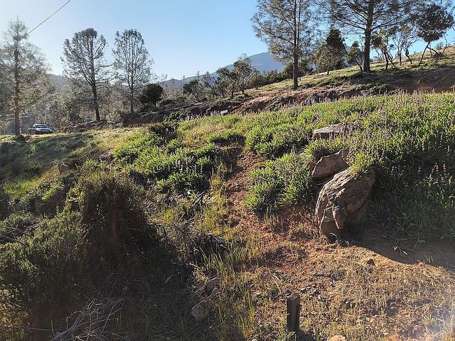 Image of 10155 El Capitan Way