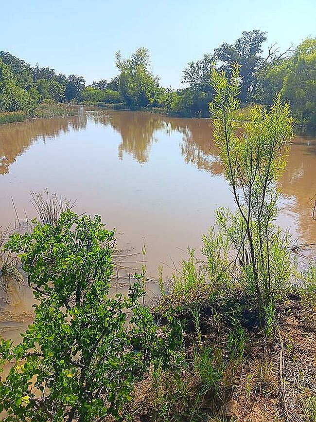 Image of 1070 Burwick Rd