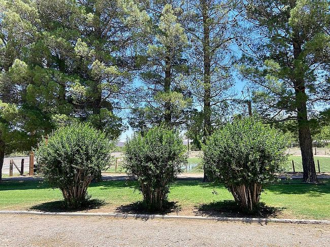 Photo of 1400 Railroad Rd, Hatch, NM