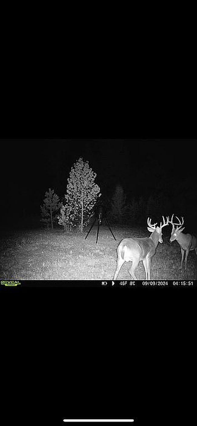 Photo of 9945 Highway 67, Fredericktown, MO