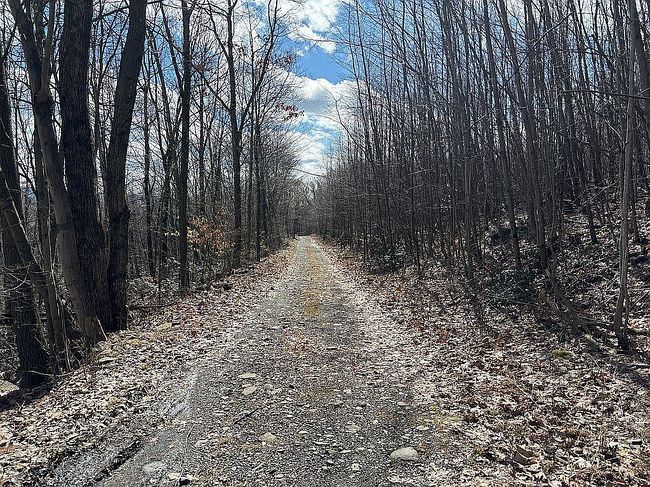 Image of 1991 Scranton Carbondale Hwy