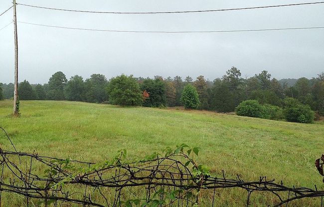 Image of 2400 Wilson Rd Nw