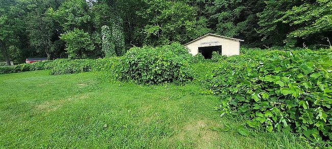 Photo of 0 Monarch Rd, Saint Charles, VA
