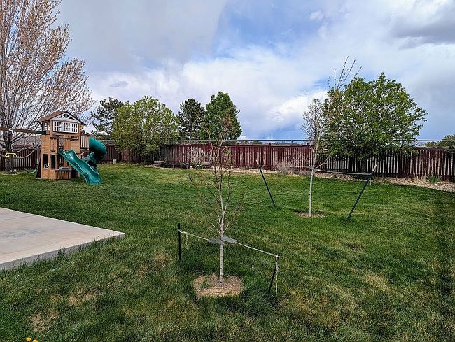 Image of 2597 W 46th St
