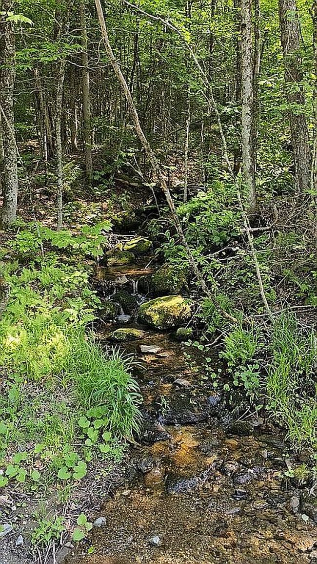 Photo of 74 Sylvan Ridge Rd, Bondville, VT