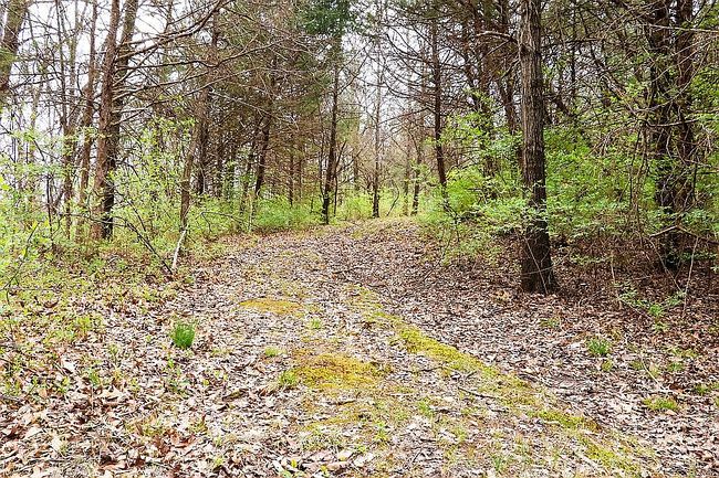 Photo of 31397 Highway Jj, Marceline, MO