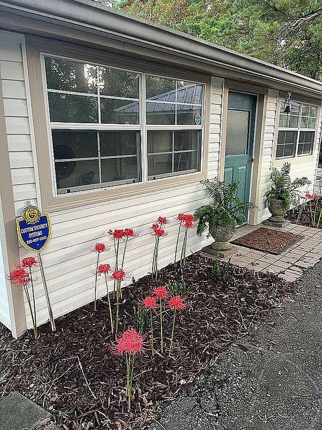 Image of 7736 River Ridge Dr