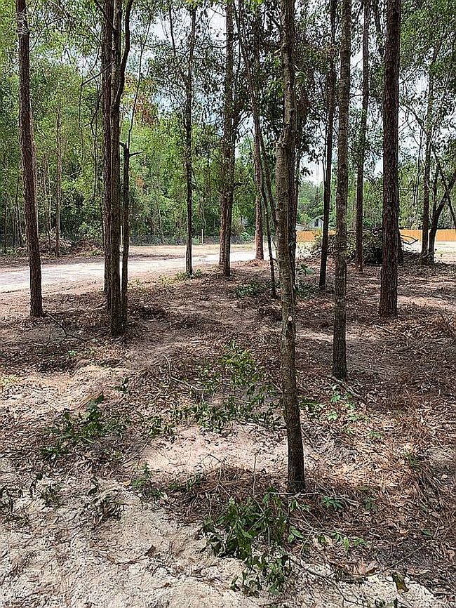 Photo of 230 Nw Open Ct, Lake City, FL