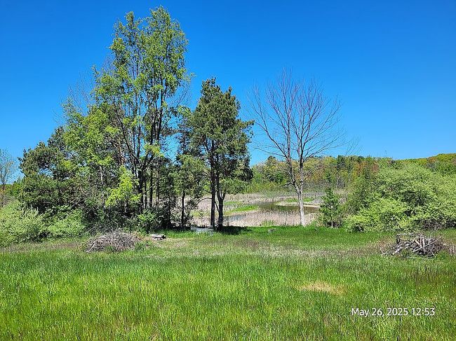 Image of 1291 N Jebavy Dr