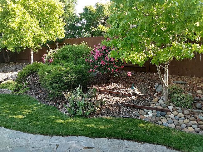 Image of 538 Andromeda Dr