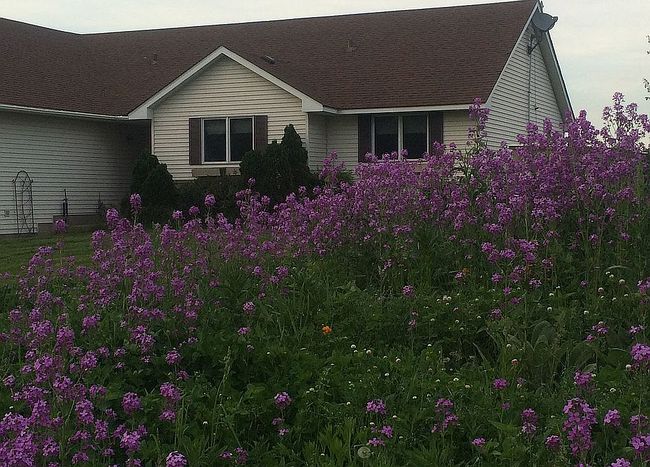 Additional photo 1 of property located at 29776 Hayes Ave