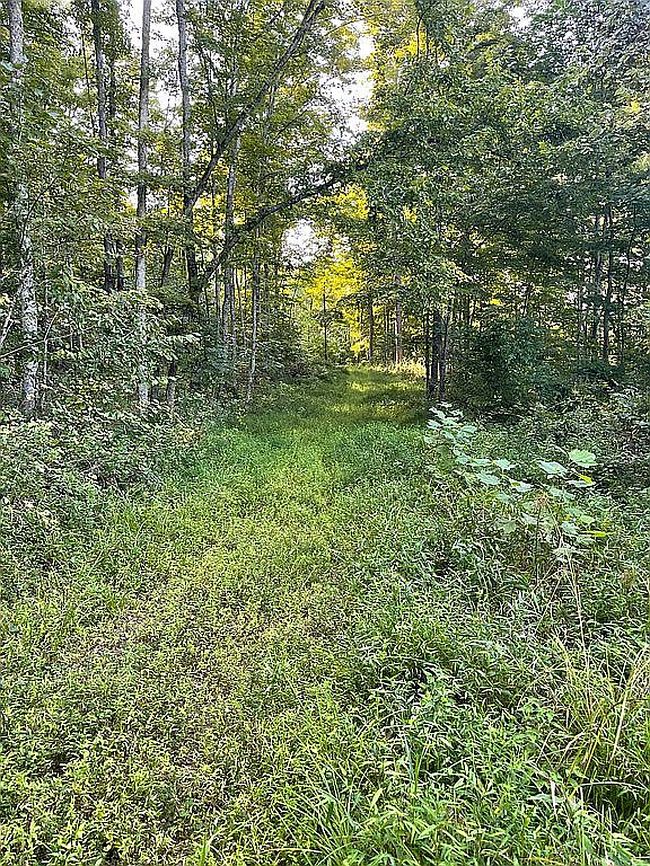 Photo of 0 Big Creek Rd, Walton, WV