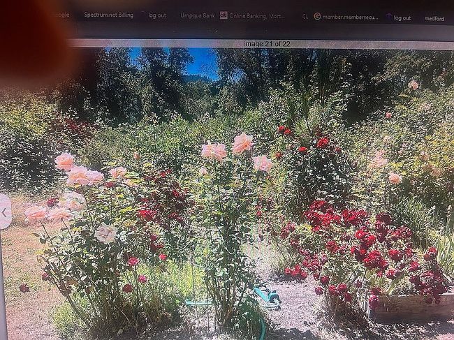 Photo of 2893 E Evans Creek Rd, Rogue River, OR