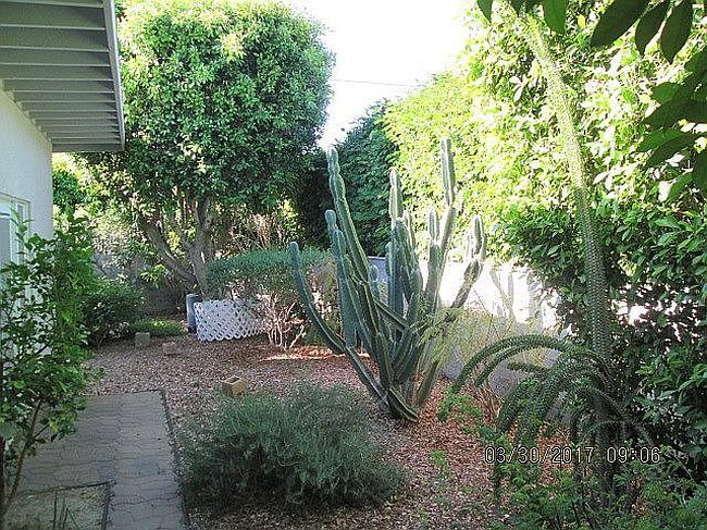 Image of 1255 E Buena Vista Dr