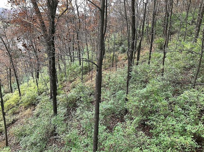 Image of 0 River Dr