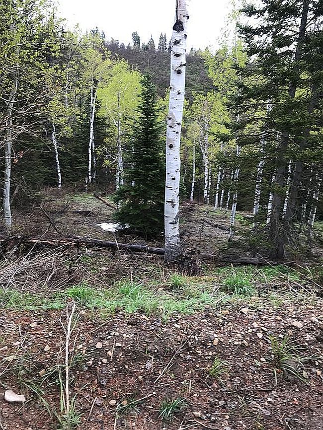 Photo of 772 Porcupine Loop, Coalville, UT