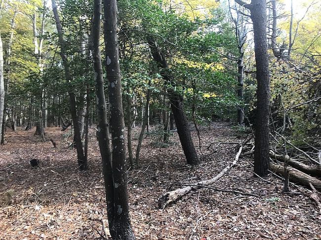 Photo of 0 Latimers Way #10, Cape Charles, VA