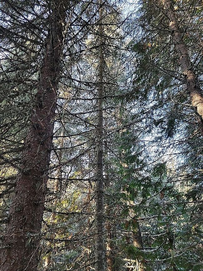 Image of Cedar Creek Rd