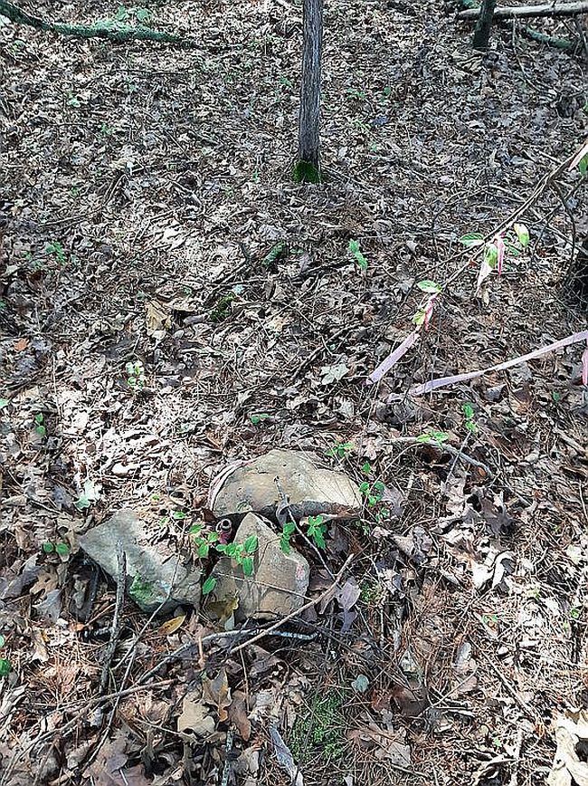 Image of 1328 Scrogins Creek Rd