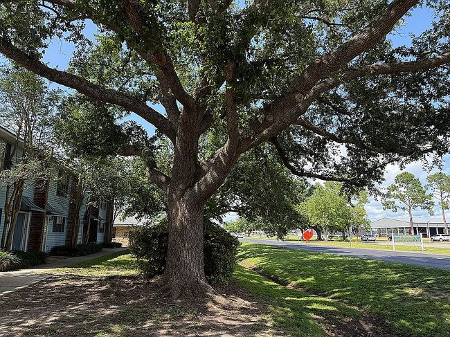 Photo of 1110 Audubon Ave Apt 10, Thibodaux, LA