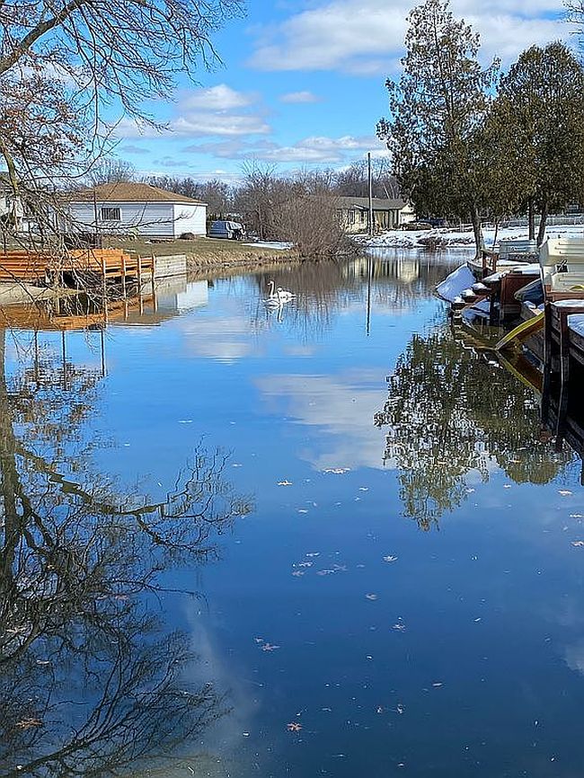 Photo of 9526 Cedar Island Rd, White Lake, MI