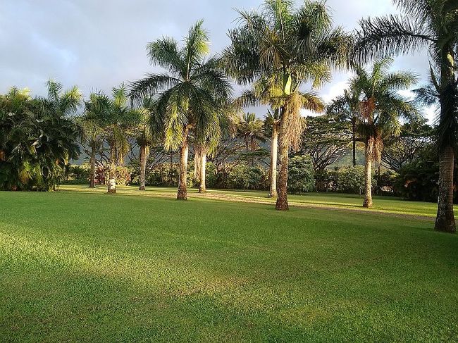 Photo of 5850A Kahiliholo Rd, Kilauea, HI