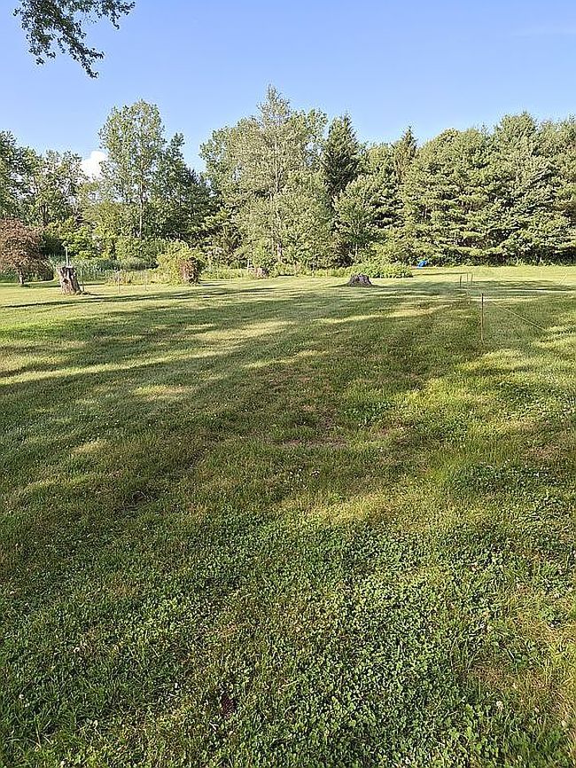 Photo of 227 Consaul Rd, Albany, NY