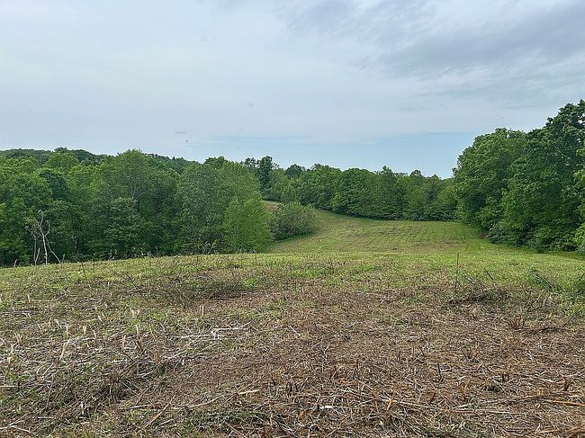 Photo of 740 Little Perry Rd #4, Morehead, KY