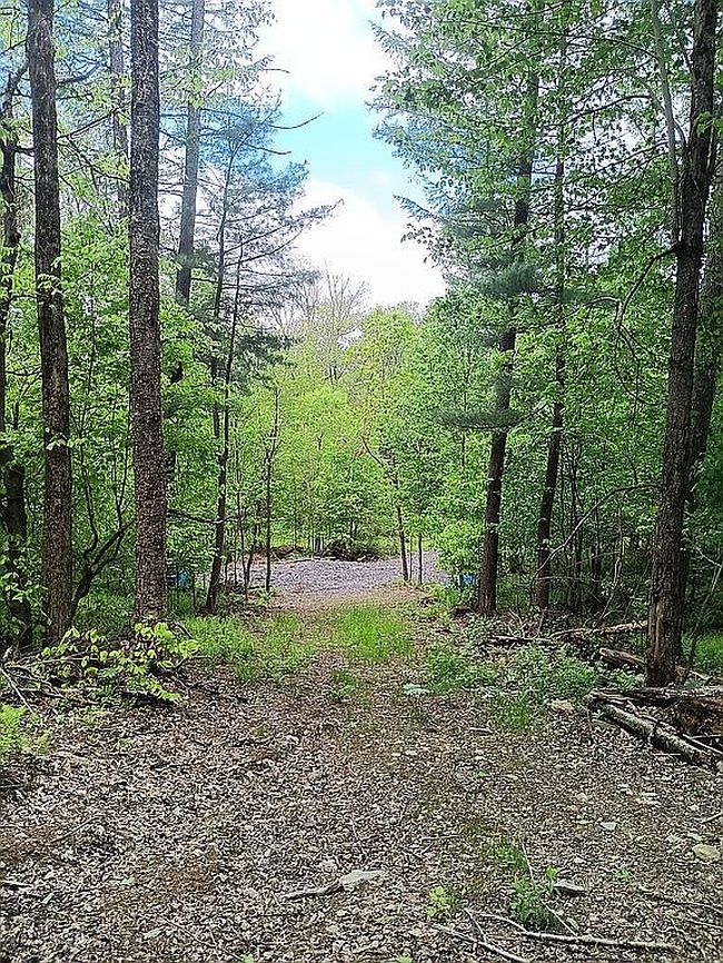 Additional photo 3 of property located at 316 Bardin Rd