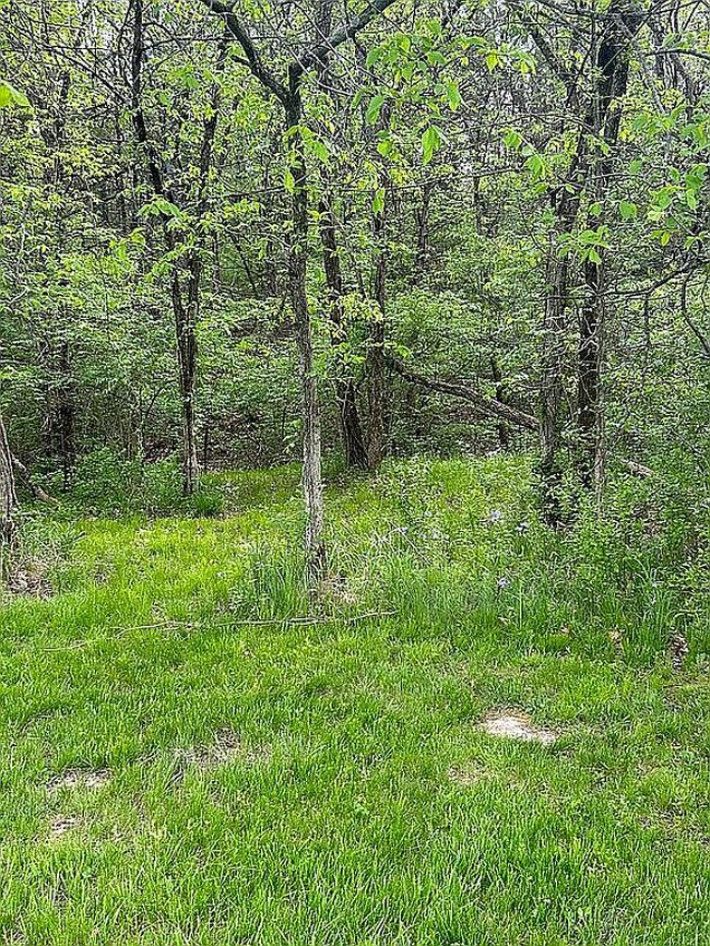Image of 5000 Wood Shire Dr