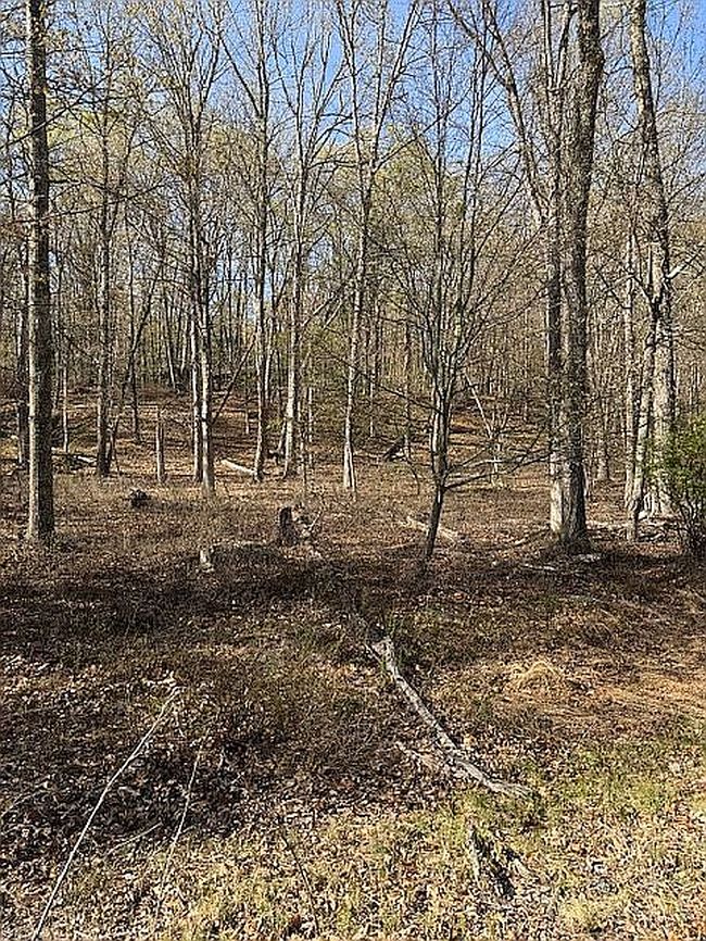 Image of 0 Blue Ridge Dr