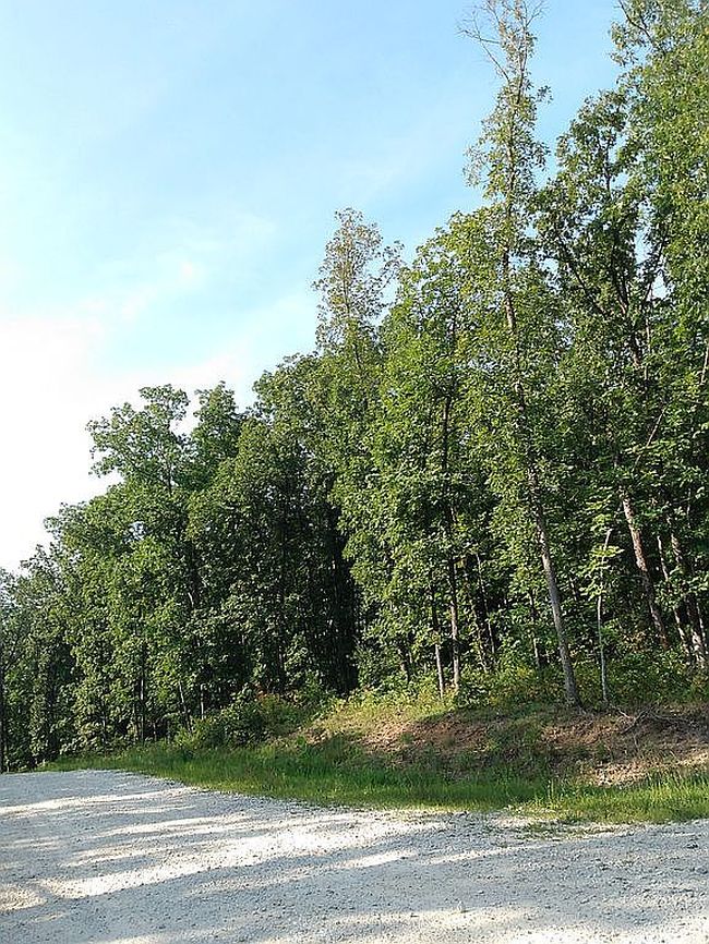 Image of 2946 State Road F Lot 3