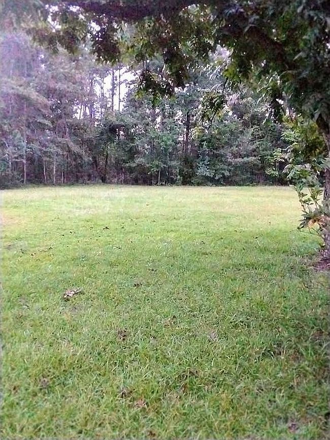 Photo of 723 N Railroad Ave, Mount Vernon, GA