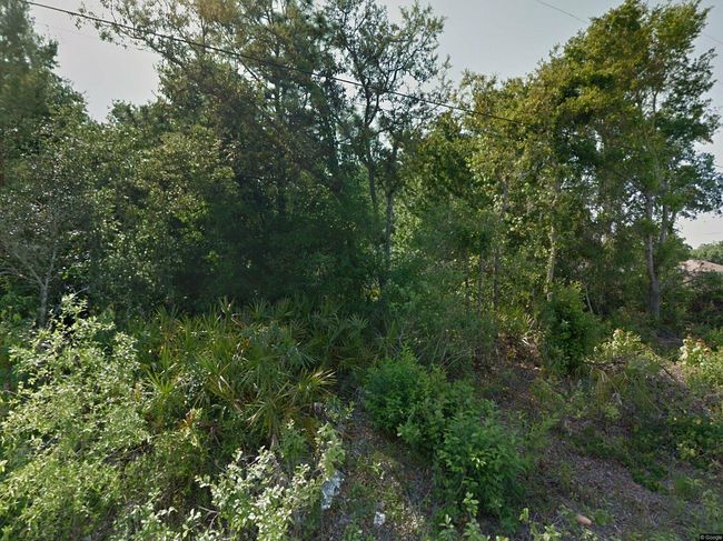 Photo of 10215 Poplar St