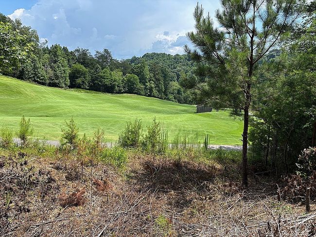 Photo of 0-Hp13 Old Toccoa Loop, Mineral Bluff, GA