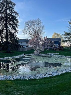 Image of 1099 Saratoga Cir