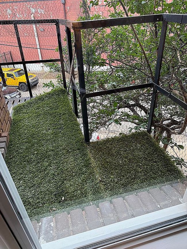 Image of 1529 Sullivan Dr Apt 202