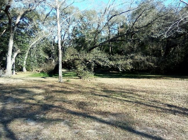 Image of 12910 County Road 49 Lot 2