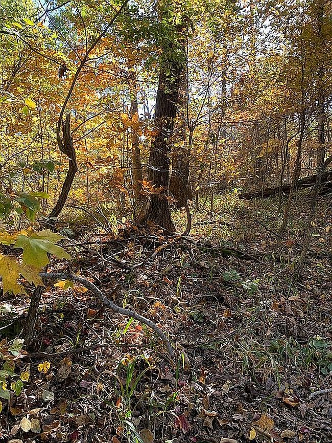 Image of 2865 Pine Grove Rd