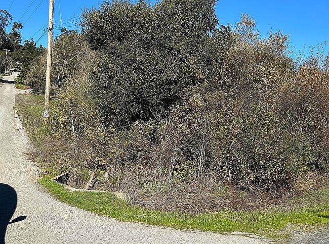 Image of 1 Pesante Rd